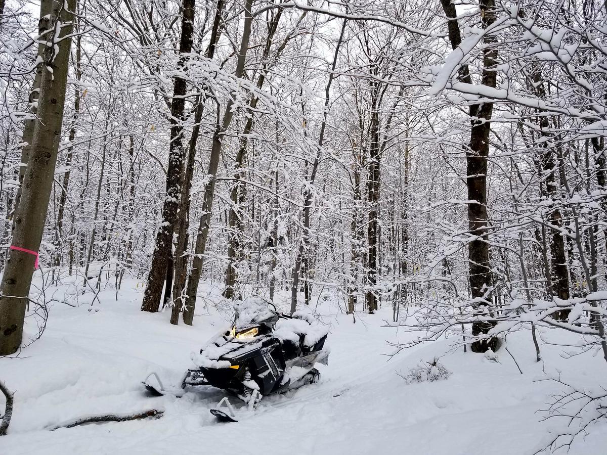 Saint-Jean-des Piles Les Cabines Nordik Des Pilesヴィラ エクステリア 写真