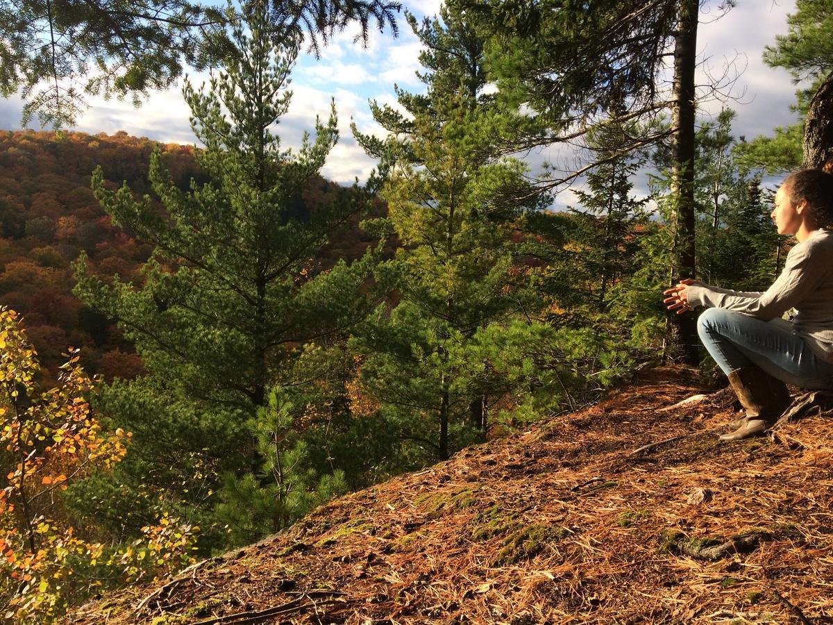 Saint-Jean-des Piles Les Cabines Nordik Des Pilesヴィラ エクステリア 写真
