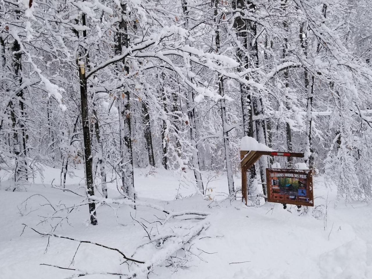 Saint-Jean-des Piles Les Cabines Nordik Des Pilesヴィラ エクステリア 写真