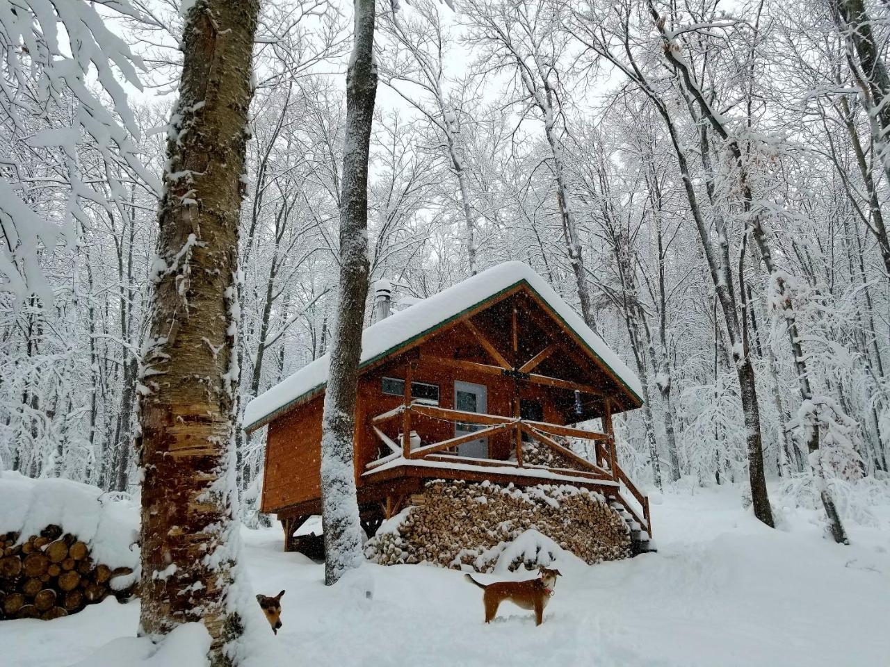 Saint-Jean-des Piles Les Cabines Nordik Des Pilesヴィラ エクステリア 写真