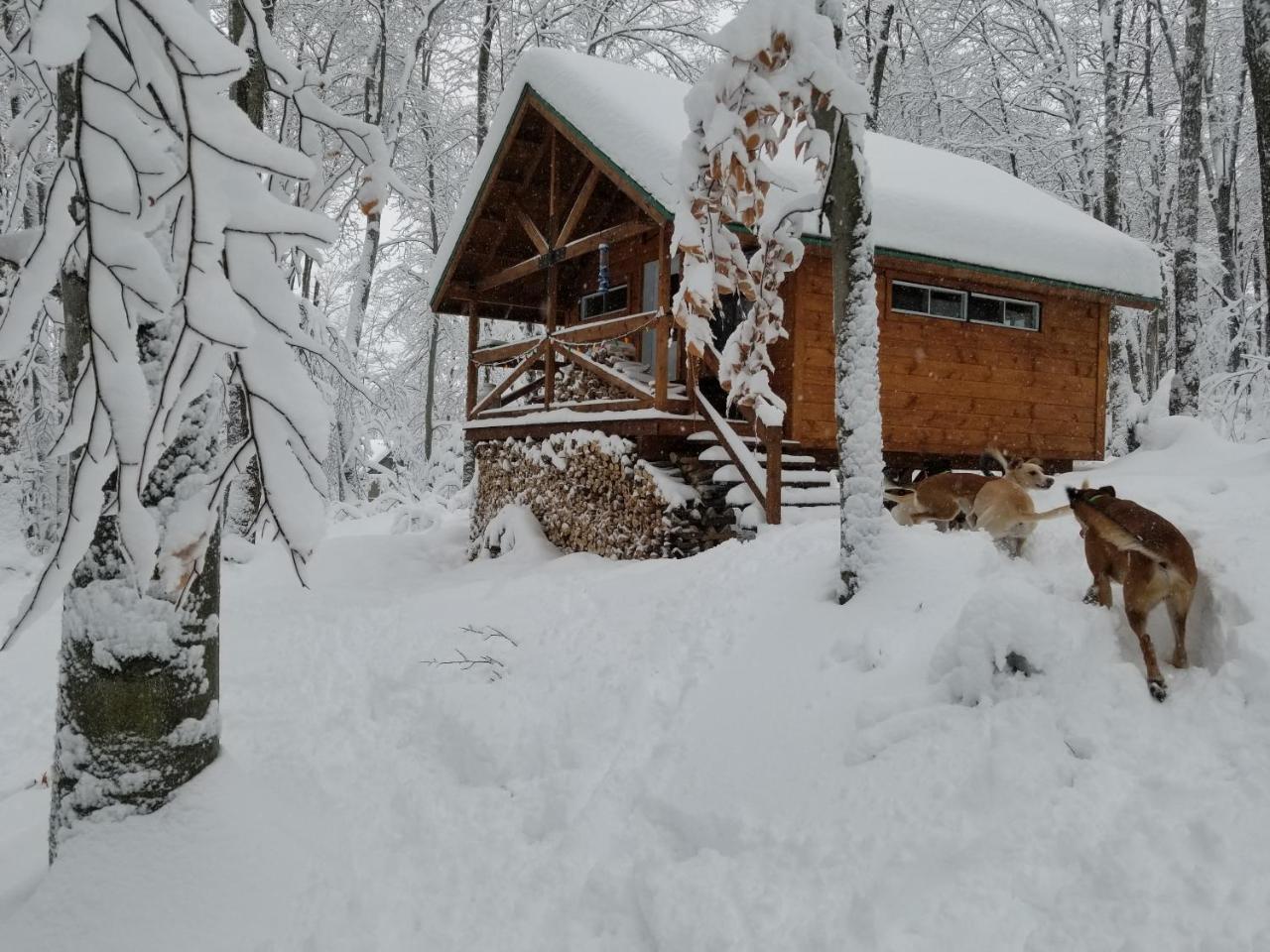 Saint-Jean-des Piles Les Cabines Nordik Des Pilesヴィラ エクステリア 写真