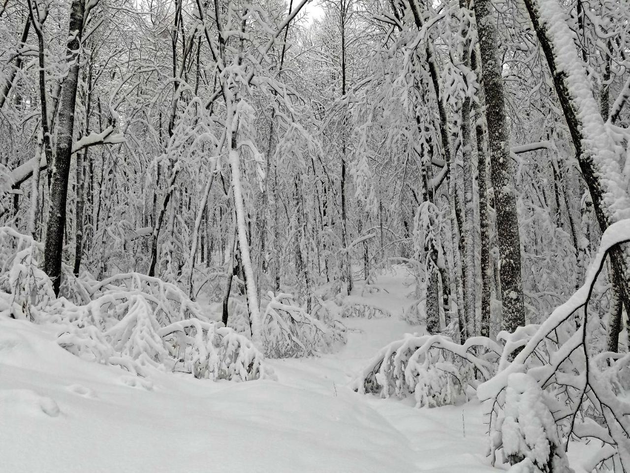 Saint-Jean-des Piles Les Cabines Nordik Des Pilesヴィラ エクステリア 写真