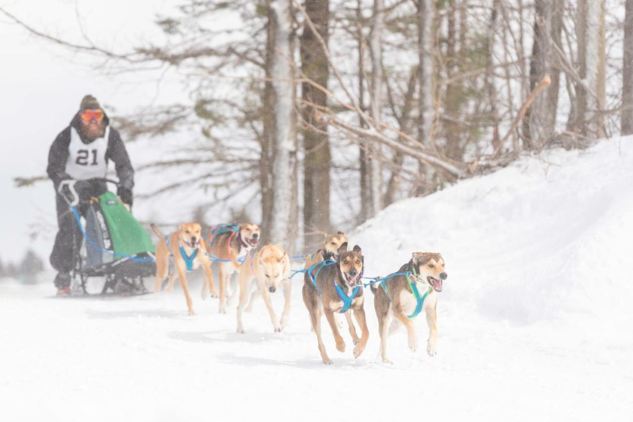 Saint-Jean-des Piles Les Cabines Nordik Des Pilesヴィラ エクステリア 写真