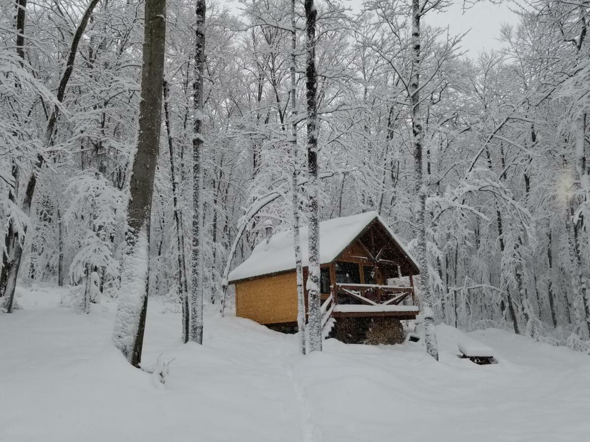 Saint-Jean-des Piles Les Cabines Nordik Des Pilesヴィラ エクステリア 写真