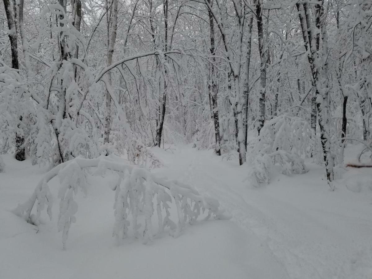 Saint-Jean-des Piles Les Cabines Nordik Des Pilesヴィラ エクステリア 写真