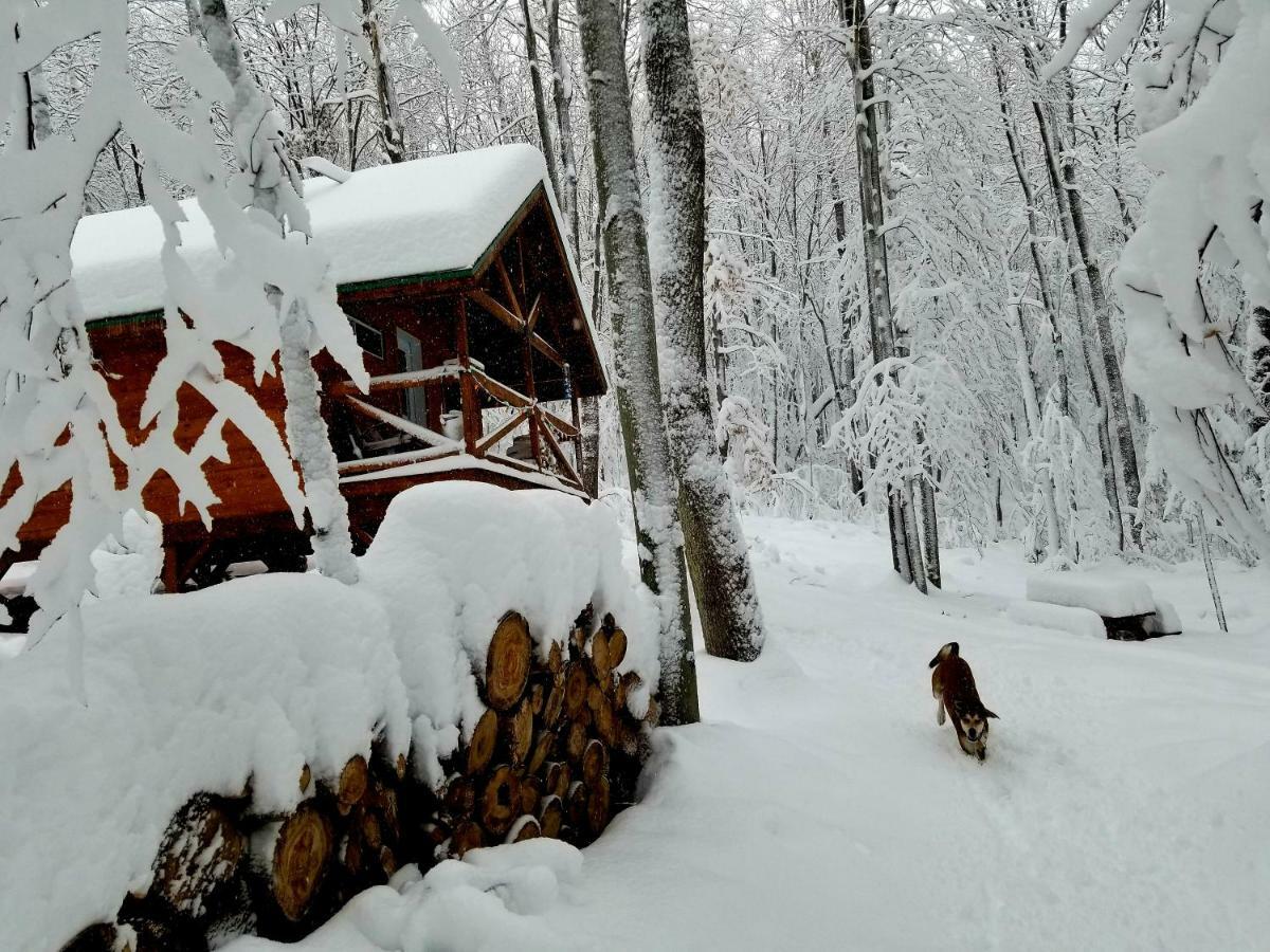 Saint-Jean-des Piles Les Cabines Nordik Des Pilesヴィラ エクステリア 写真