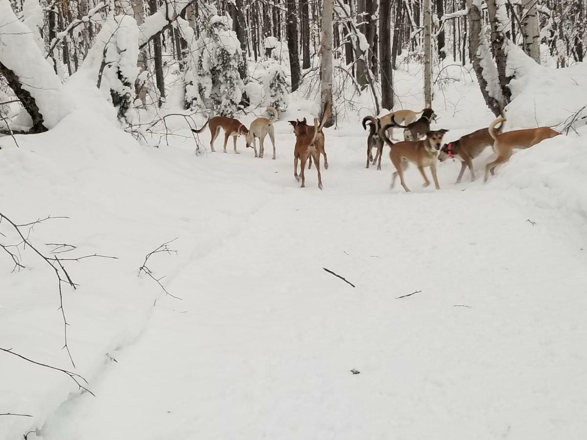 Saint-Jean-des Piles Les Cabines Nordik Des Pilesヴィラ エクステリア 写真