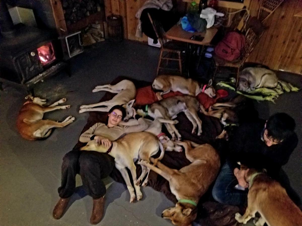 Saint-Jean-des Piles Les Cabines Nordik Des Pilesヴィラ エクステリア 写真